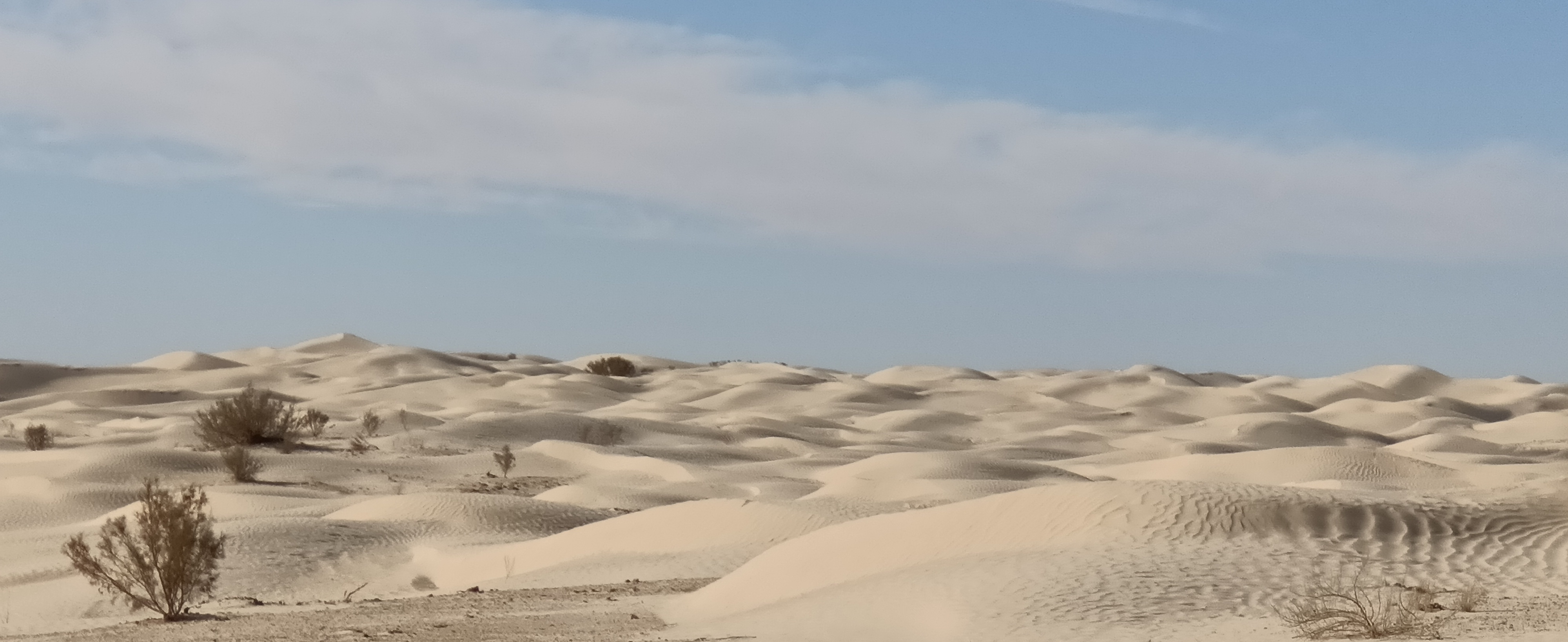 Le désert des Murmures 15 au 23 Nov.2025