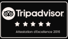 rating tripadvisor